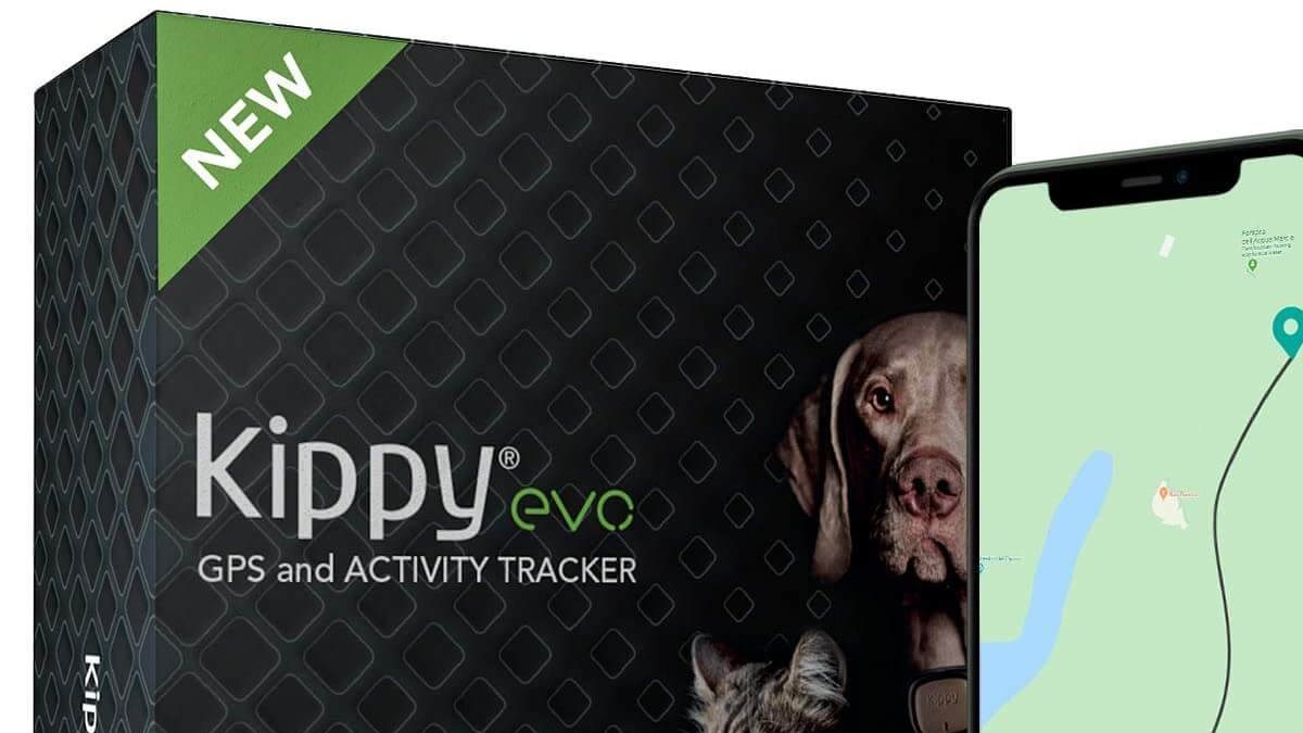 kippy Vodafone Evo localizzatore gps