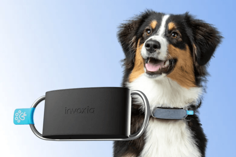 Come funziona il invoxia gps tracker?