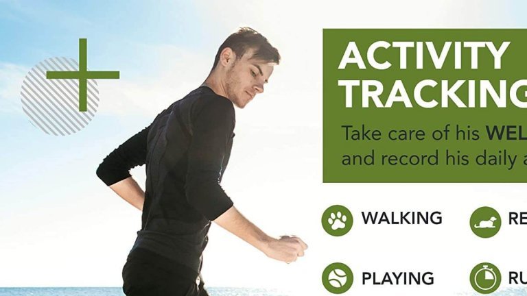 Kippy Vita uno dei migliori tracker