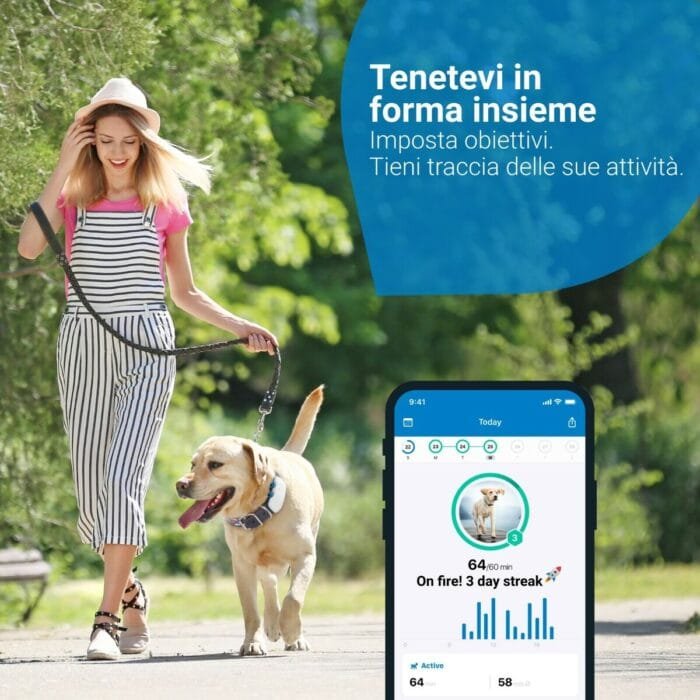 Cos'è tractive gps tracker?