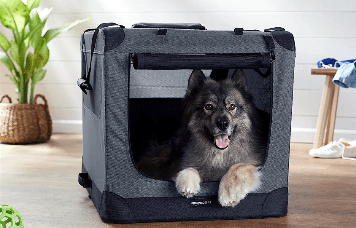 Un bellissimo trasportino cane taglia media