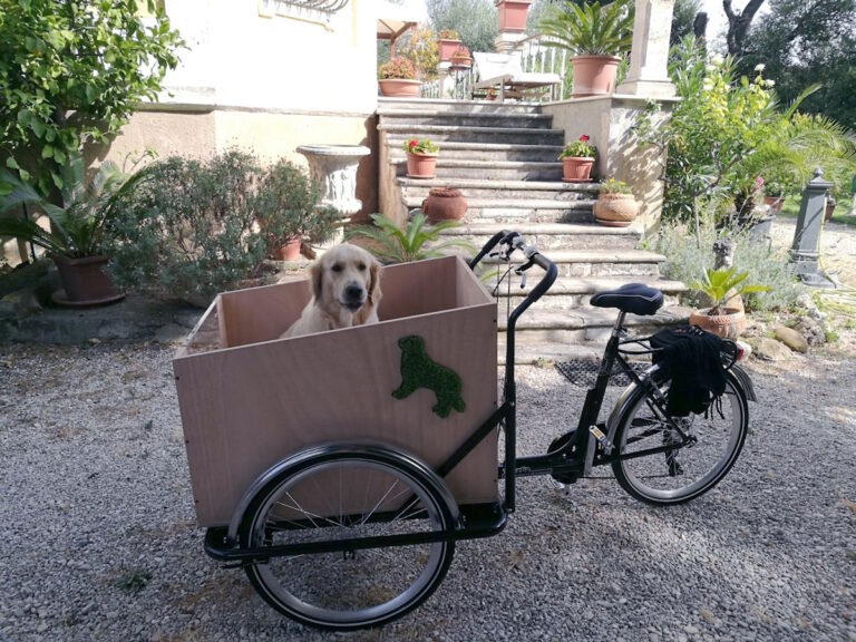 Come è fatto un trasportino cani per bici?