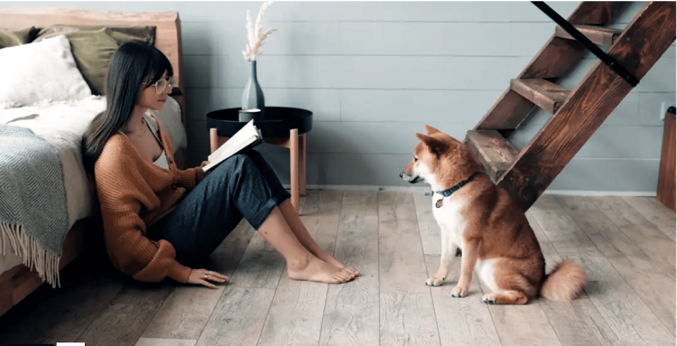 Malattie dei cani più frequenti