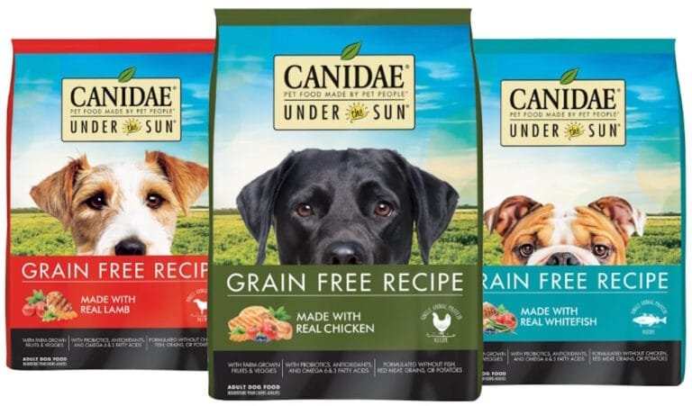 canidae dry dog food ottimo cibo curativo