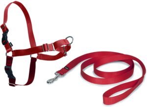 Prova la pettorina easy walk