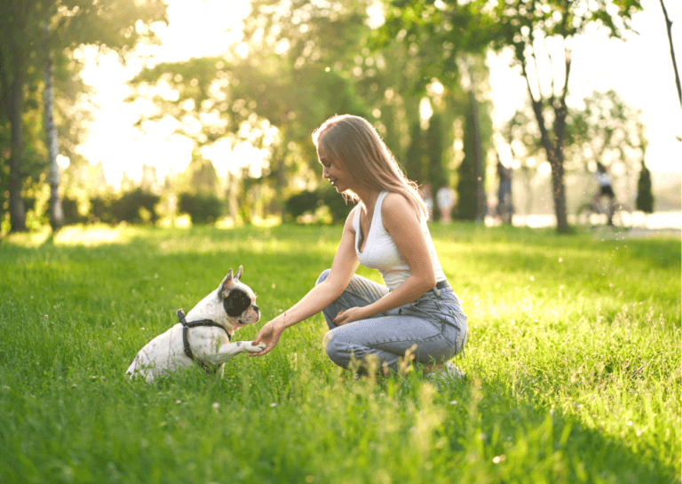 Qual è l'età giusta per addestrare un cane?