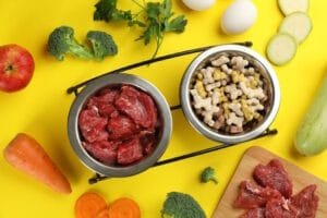 Scopri altri cibi oltre le crocchette