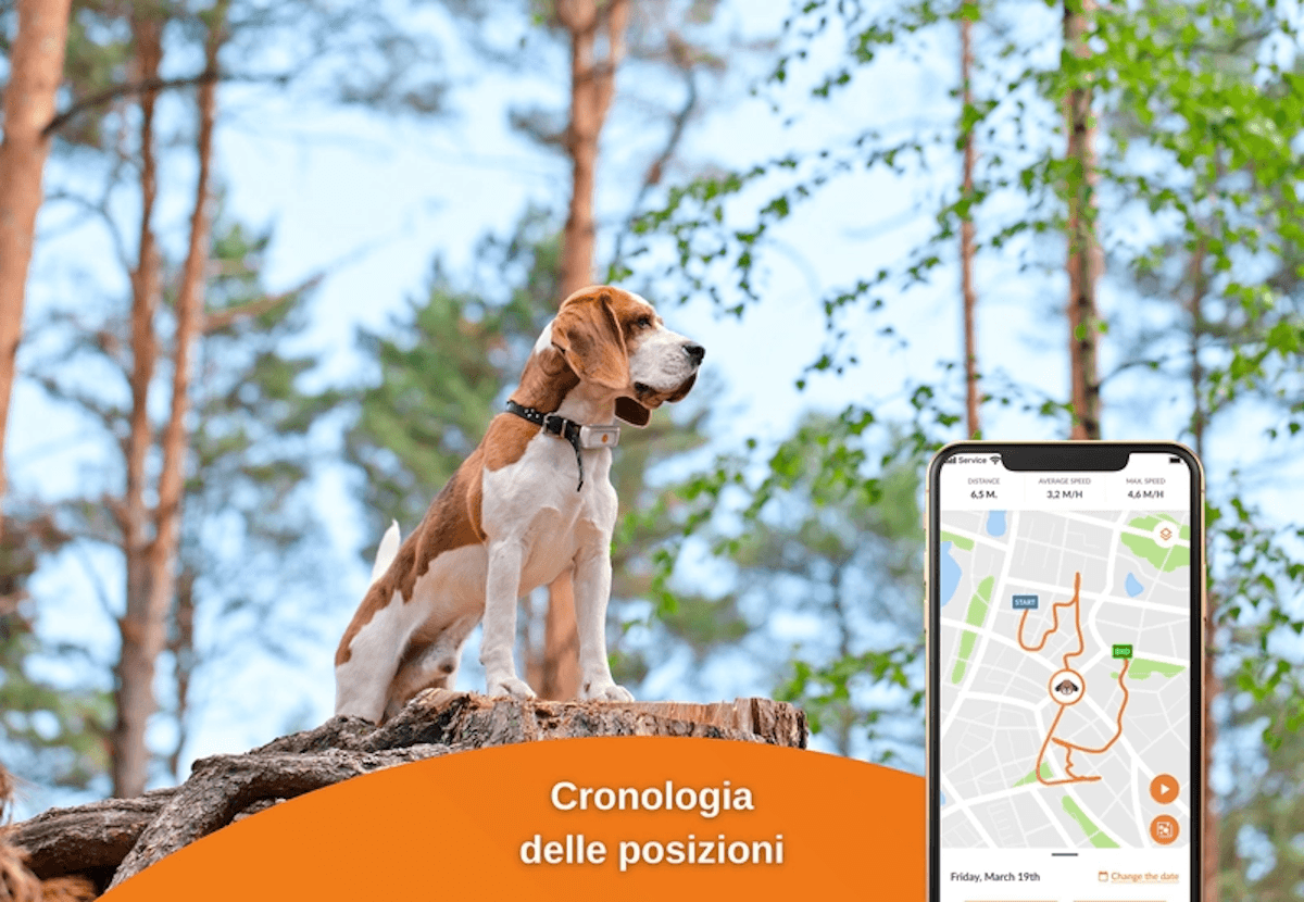 Il miglior gps per cani
