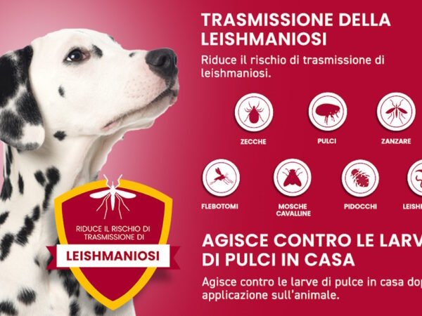 Advantix cane uno dei migliori